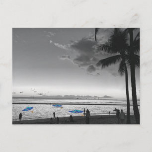 Hawaii-Strand und Palmen Postkarte