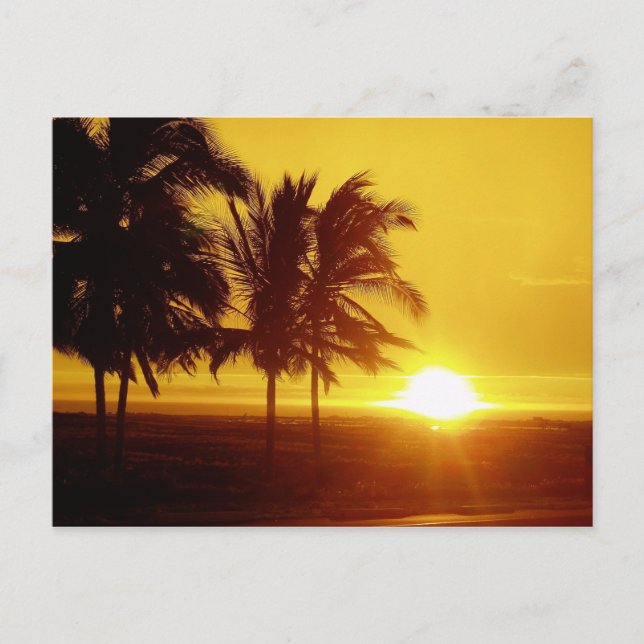 Hawaii Sunset Postcard Postkarte (Vorderseite)
