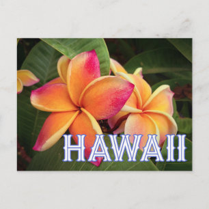  Hawaii Travel Postcard  Postkarte