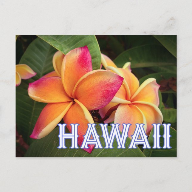  Hawaii Travel Postcard  Postkarte (Vorderseite)