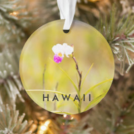 Hawaii Tropical Blume 2 Foto / Text Ornament