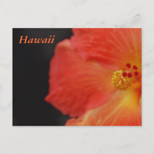 Hawaii Tropische Blume Postkarte