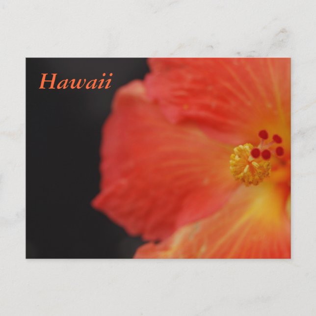 Hawaii Tropische Blume Postkarte (Vorderseite)