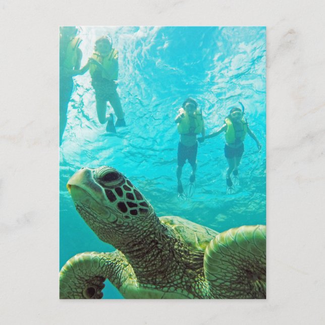 Hawaii Turtle and Snorkelers Postkarte (Vorderseite)