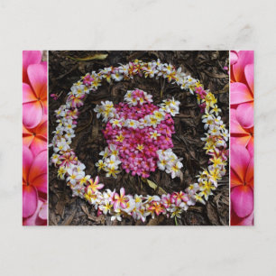 Hawaii Turtle Honu Plumeria Summer Blume Paradise Postkarte