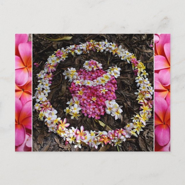 Hawaii Turtle Honu Plumeria Summer Blume Paradise Postkarte (Vorderseite)