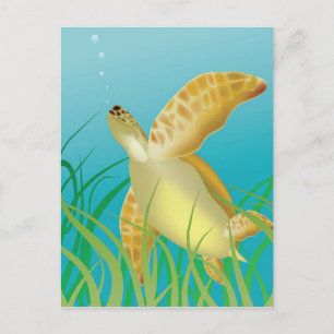 Hawaii Turtle Postkarte