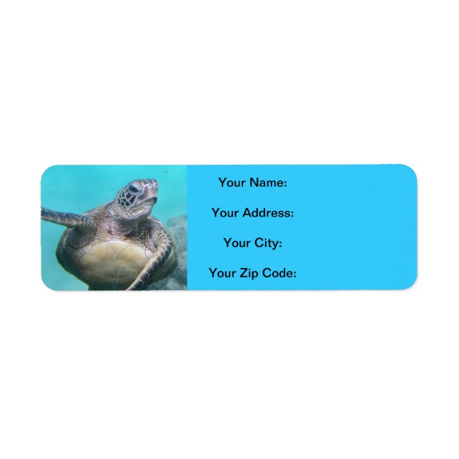 Hawaii Turtles - Honu (Vorne)