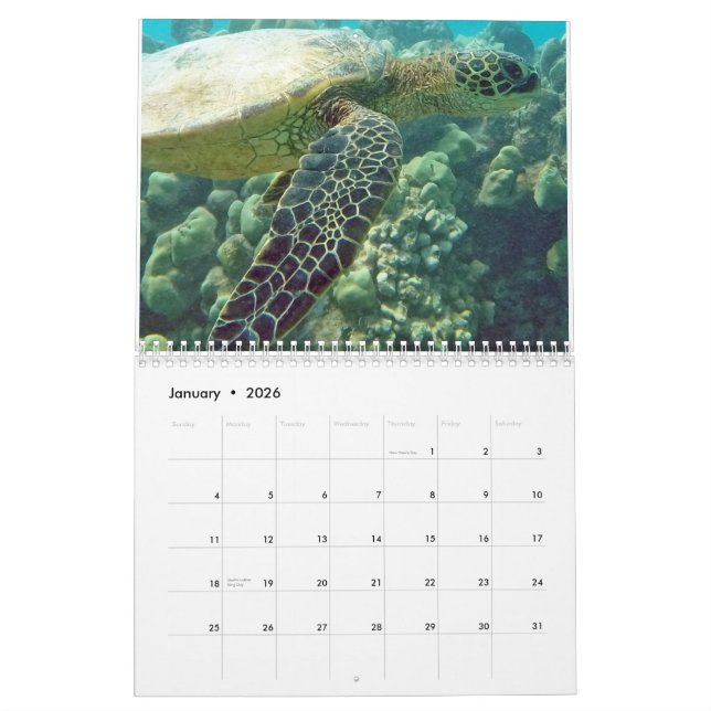 Hawaii Turtles Kalender (Jan 2026)