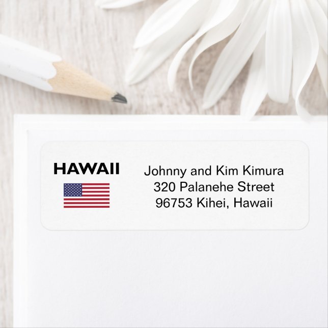 Hawaii USA Flag Light Color (Insitu)