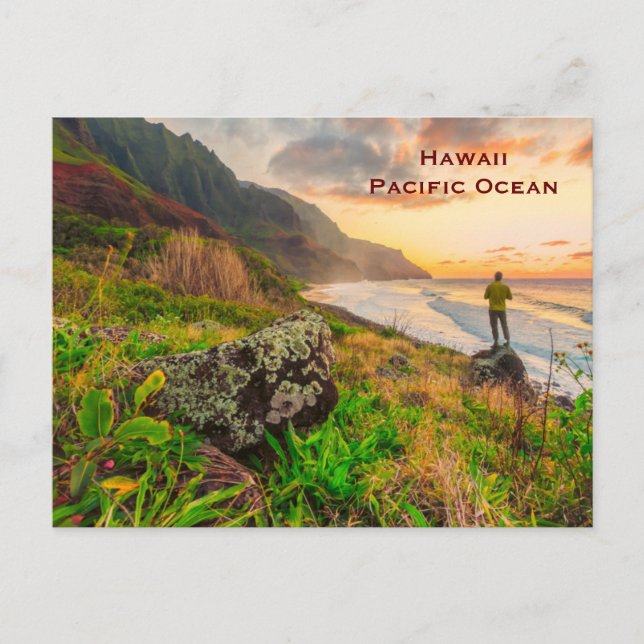 Hawaii Vintag Tourismus Reisen hinzufügen Postkarte (Vorderseite)