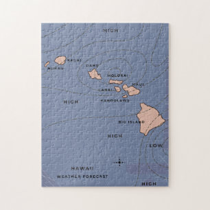 Hawaii Vintage Wettervorhersage Puzzle