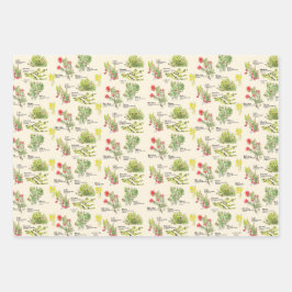 Hawaii Volcano Native Plants Wrapping Paper Geschenkpapier Set