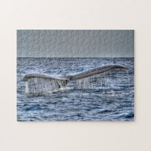 Hawaii Whale Fluke Puzzle