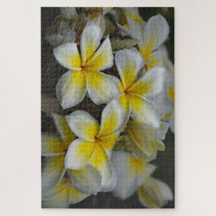 Hawaii Yellow Plumeria Puzzle