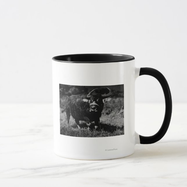 HawaiiA Water Buffalo FotografHawaii Tasse (Rechts)