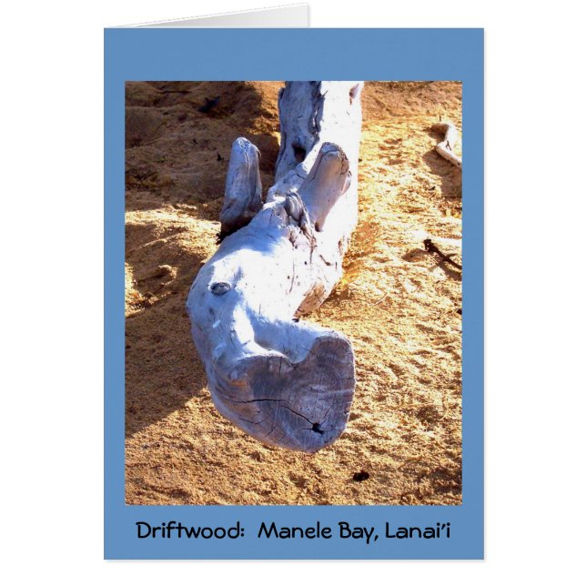 Hawaiian Beach Driftwood Blank Card (Vorne)