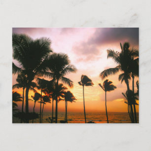 Hawaiian Beach Palm Trees Sunset - Hawaii Reisen Postkarte