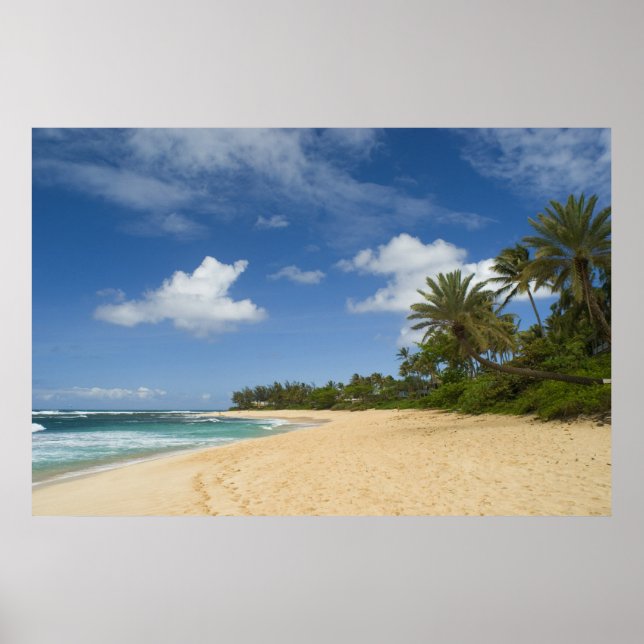 Hawaiian Beach Poster AB 8.99 (Vorne)
