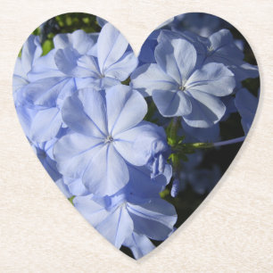 Hawaiian Blue Plumbago Blume Kissen Untersetzer Ac