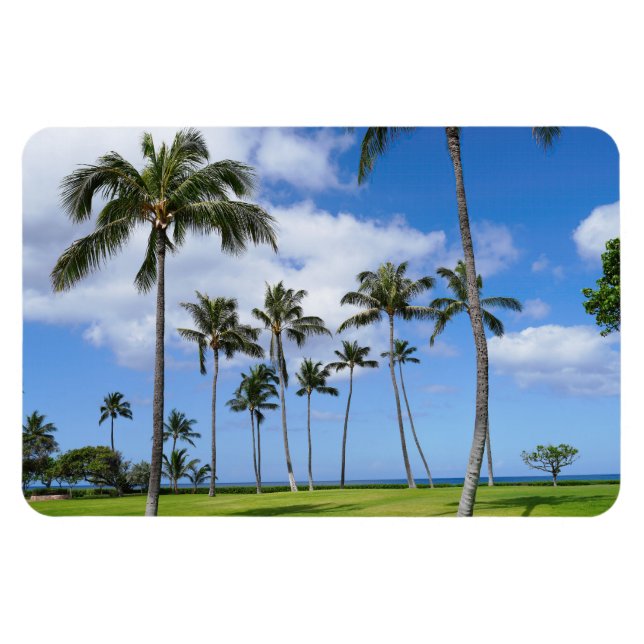 Hawaiian Coconut Trees Foto Magnet (Horizontal)