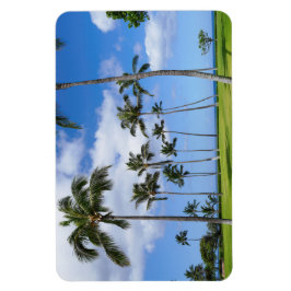 Hawaiian Coconut Trees Foto Magnet