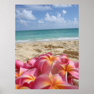 Hawaiian Dayz Poster