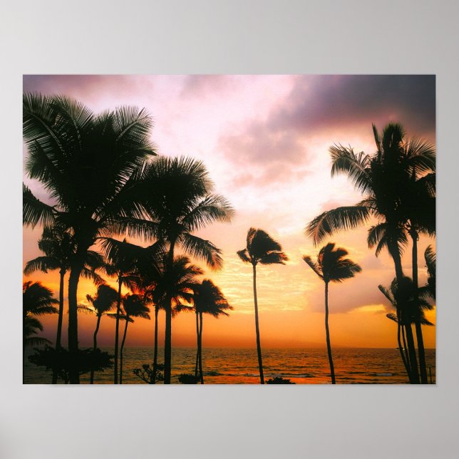 Hawaiian Exotic Beach Palm Trees Poster (Vorne)