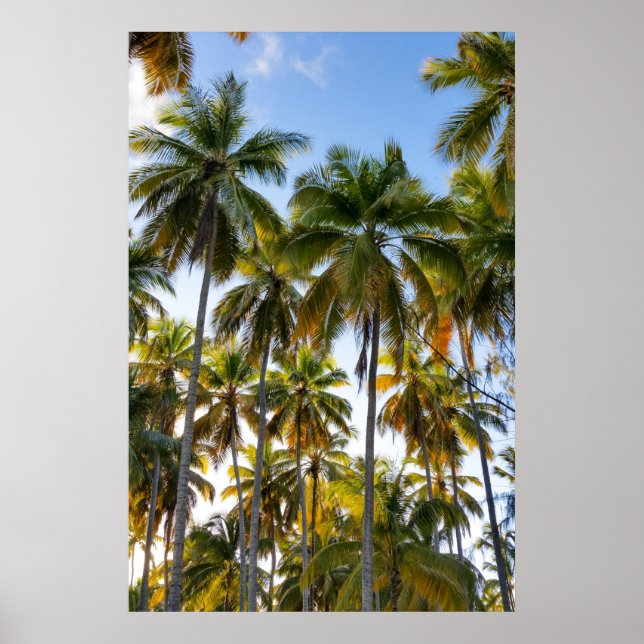 Hawaiian Exotic Beach Palm Trees Poster (Vorne)