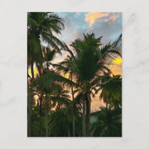 Hawaiian Exotic Beach Palm Trees Postkarte
