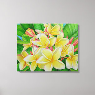 Hawaiian Frangipani Leinwanddruck