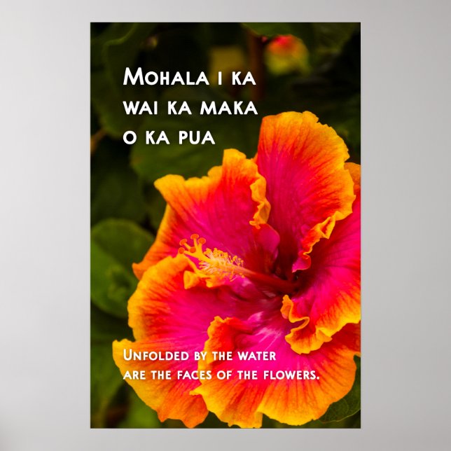 Hawaiian Fuchsia und Orange Hibiskus Motivierend Poster (Vorne)