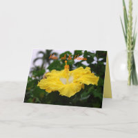 Hawaiian Happy Birthday Deep Yellow Hibiskus Card
