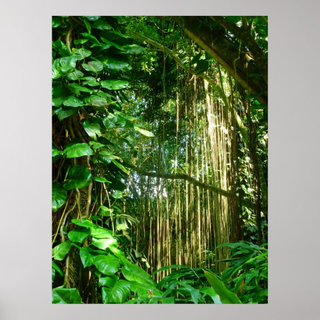 Hawaiian Jungle Vines Poster (Vorne)