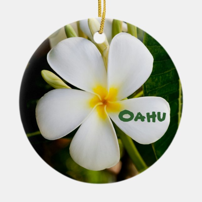 Hawaiian Keepake Keramikornament (Vorne)