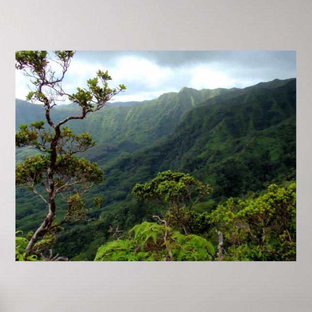 Hawaiian Koolau Poster (Vorne)