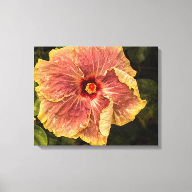 Hawaiian Lilac Hibiskus von Kauai Fotograf Leinwanddruck (Vorderseite)