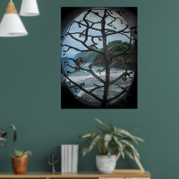 Hawaiian Ocean Beach Tree Foto Spotlight