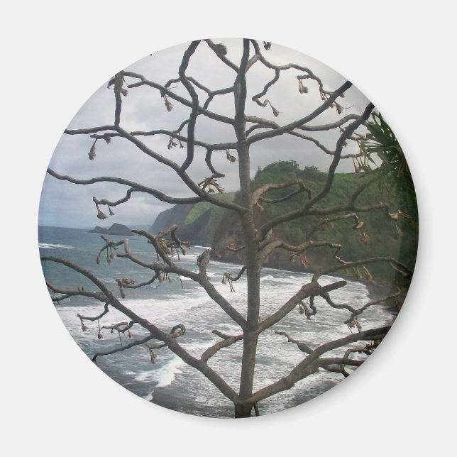Hawaiian Ocean Beach Tree Foto View Magnet (Vorne)