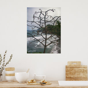 Hawaiian Ocean Beach Tree Foto View Poster