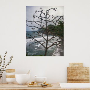 Hawaiian Ocean Beach Tree Foto View Poster