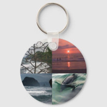 Hawaiian Ocean Beach Tree Foto View