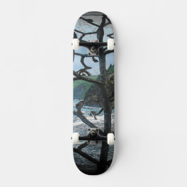 Hawaiian Ocean Beach Tree Foto View Skateboard
