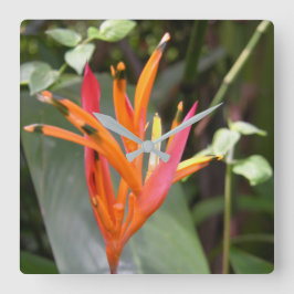 Hawaiian Orange Bird of Paradise Blume Quadratische Wanduhr