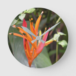 Hawaiian Orange Bird of Paradise Blume Square Runde Wanduhr