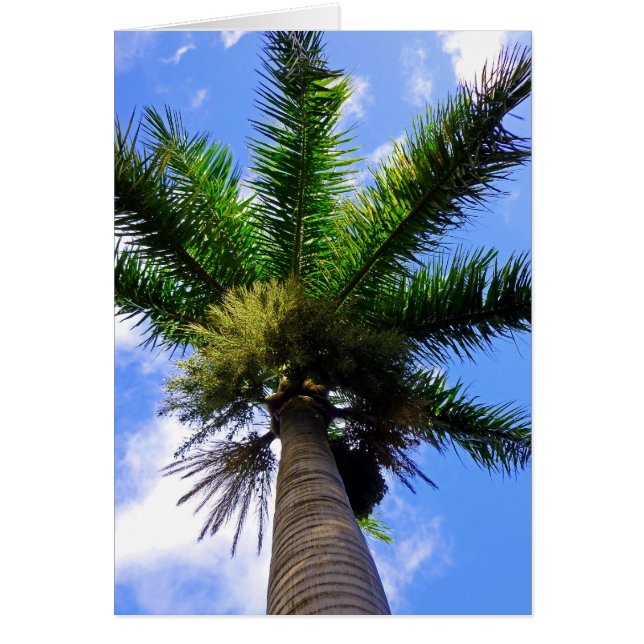 Hawaiian Palm Tree (Vorne)