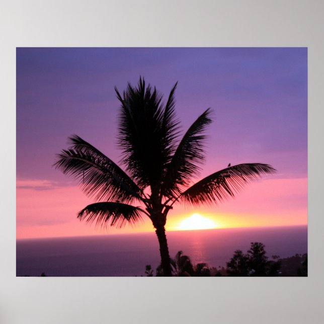 Hawaiian Palm Tree & Colorful Sunset Poster (Vorne)