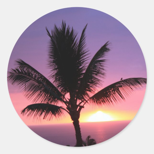 Hawaiian Palm Tree & Colorful Sunset Runder Aufkleber (Vorderseite)