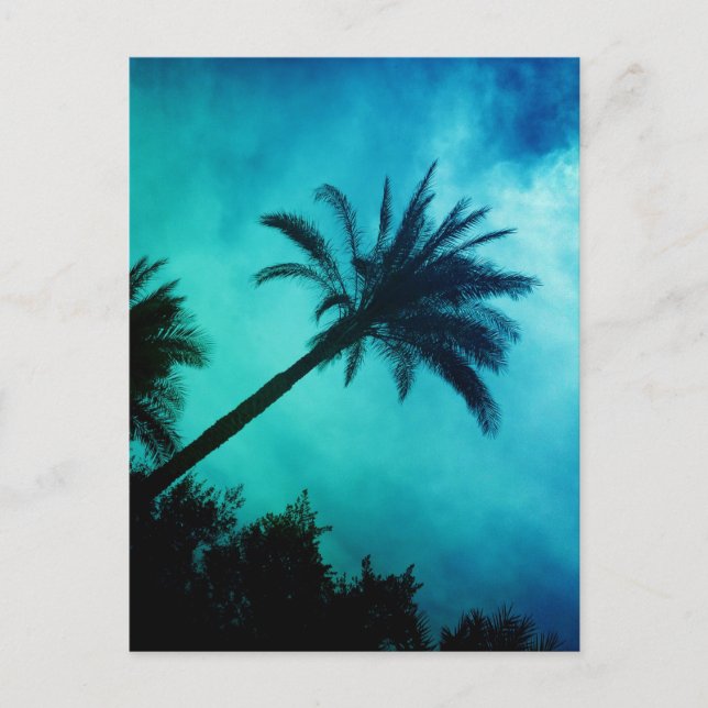 Hawaiian Palm Trees Postkarte (Vorderseite)