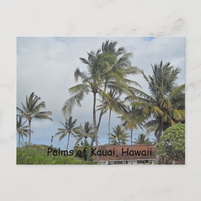 Hawaiian Palm Trees Postkarte (Vorderseite)